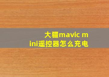 大疆mavic mini遥控器怎么充电